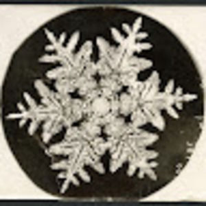 Meet your Posher, Lara